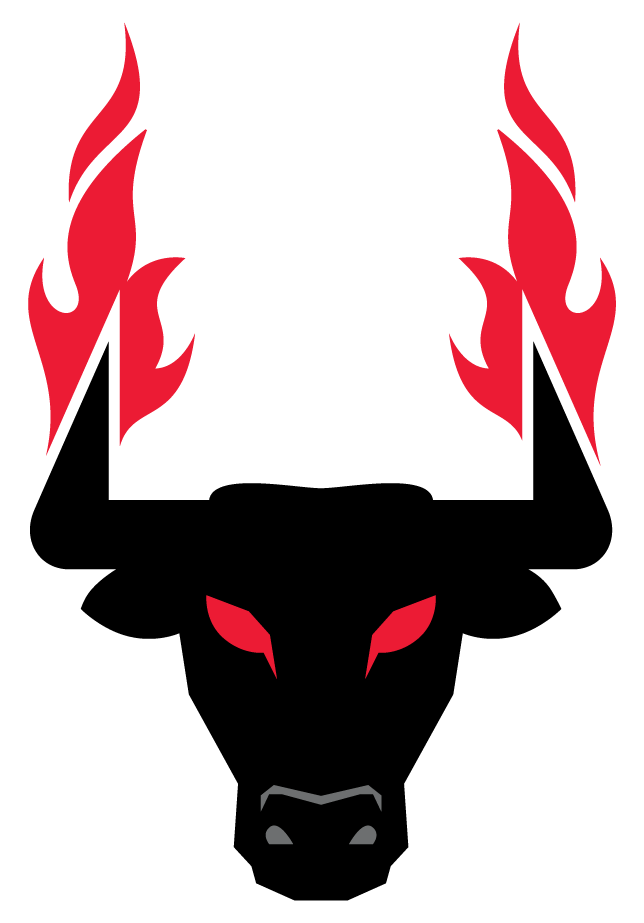 Matador Fire